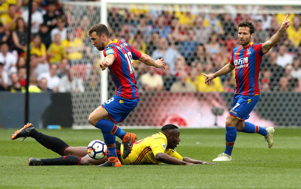 正是寄希望 正是寄希望