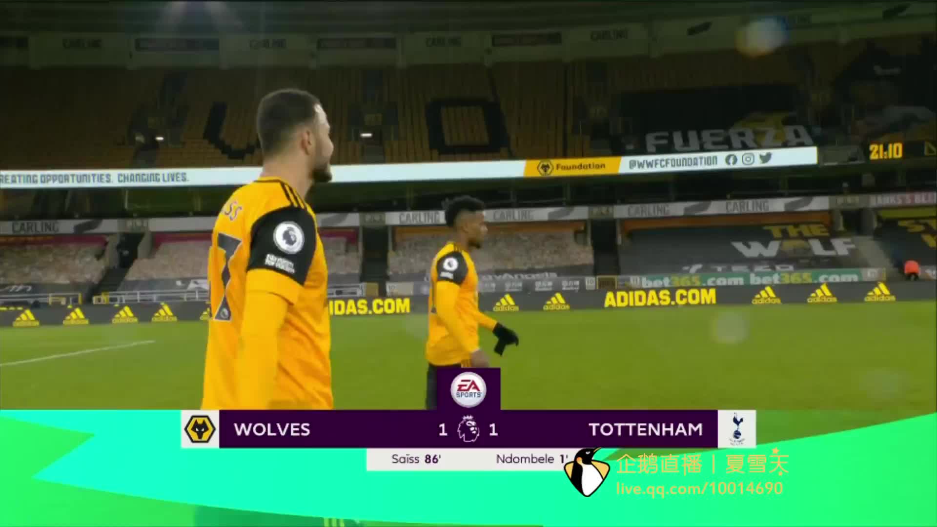 获得了许多 获得了许多