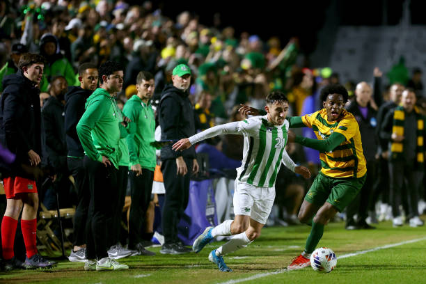 塔图姆的多 塔图姆的多